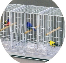 YA216-3  middle bird cages 