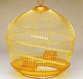 YA213-1 chinese parrot cage wired bird cage
